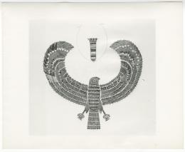 Image of print of falcon collar