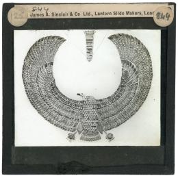 Image of lantern slide of vulture collar