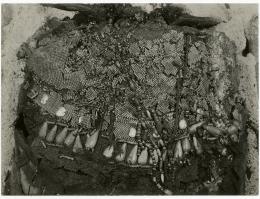 Image of photographic print of king's mummy