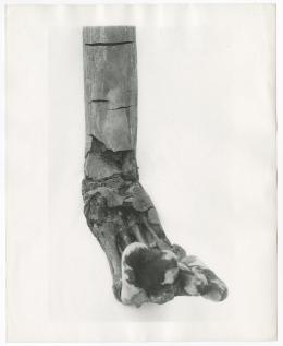 Image of print of foot