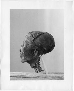 Image of print of king's head