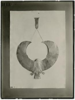 Image of print of vulture collar