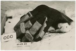 Image of print of mummified hand