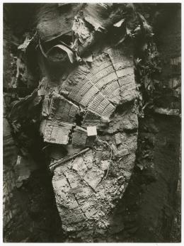 Image of print of king's mummy