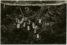 image of photographic print of amulets in object card
