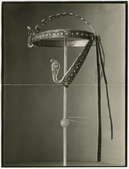 image of photographic print of diadem in object card