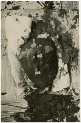 image of photographic print of king's head in object card