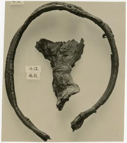 image of photographic print of headdress components in object card