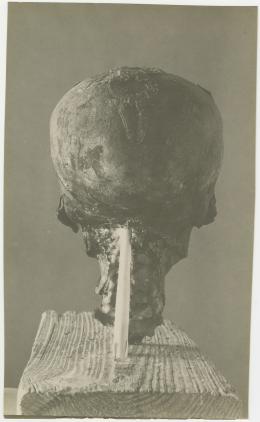image of photographic print of back of king's head in object card