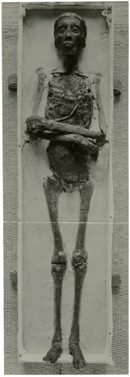 image of photographic print of king's unwrapped body in object card