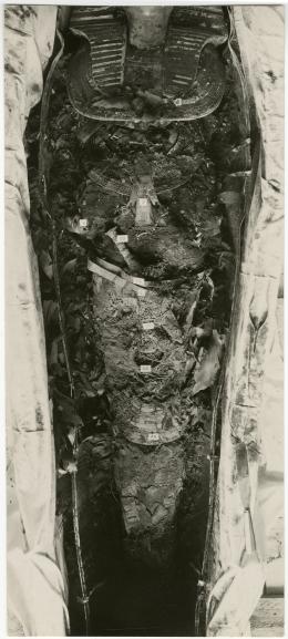 image of photographic print of king's mummy within coffin in object card