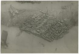 image of photographic print of beadwork in situ in object card