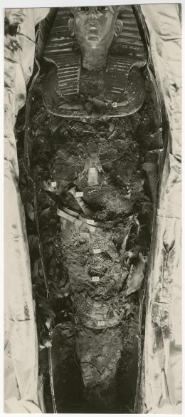 image of photographic print of king's mummy within coffin in object card
