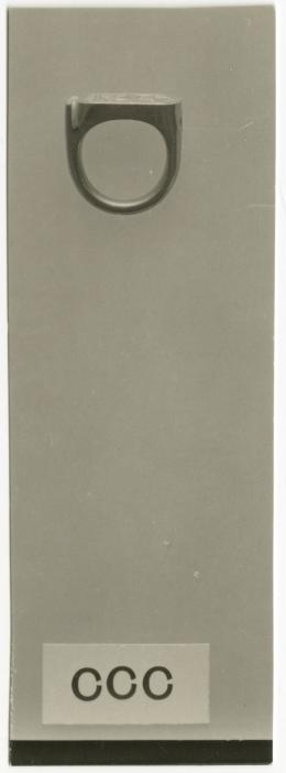 image of photographic print of ring in object card