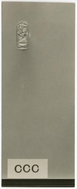 image of photographic print of ring in object card