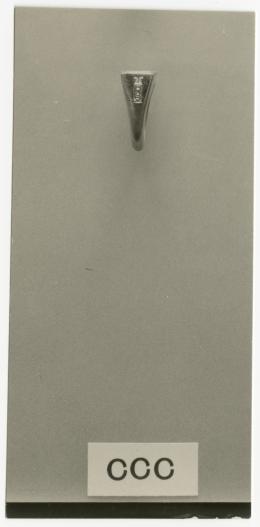 image of photographic print of ring in object card