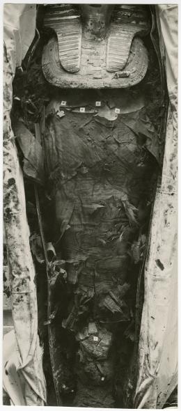 image of photographic print of king's mummy within coffin in object card