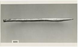 image of photographic print of tail in object card
