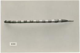 image of photographic print of tail in object card