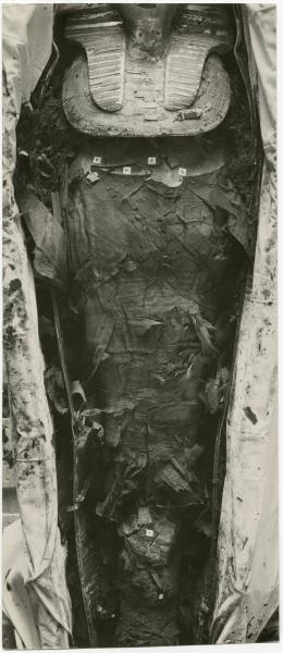 image of photographic print of king's mummy within coffin in object card