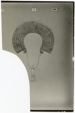 image of photographic print of gold hawk collar in object card