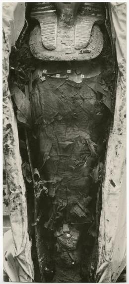 image of photographic print of king's mummy within coffin in object card