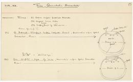 image of object card