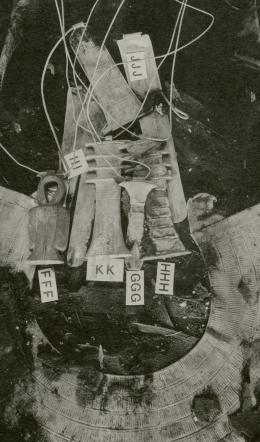 image of photographic print of king's mummy within coffin in object card