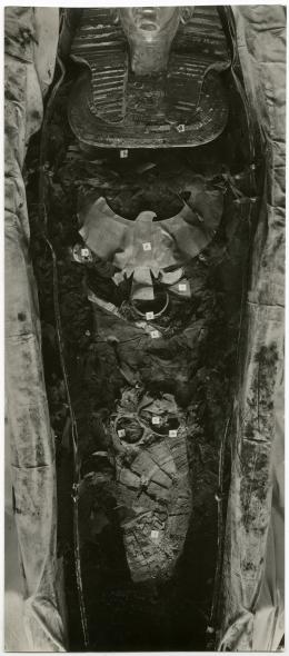 image of photographic print of king's mummy within coffin in object card