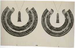 image of photographic print of two hawk collars in object card