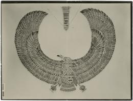 image of photographic print of vulture collar in object card