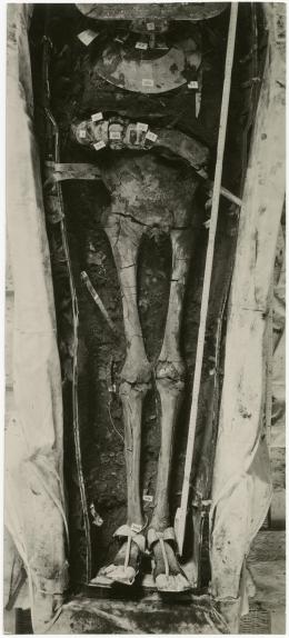 image of photographic print of lower part of king's unwrapped body within coffin in object card