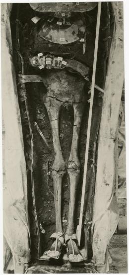 image of photographic print of lower part of king's unwrapped body within coffin in object card