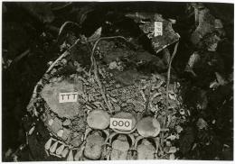 image of photographic print of king's mummy within coffin in object card