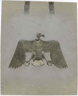 image of photographic print of vulture pectoral in object card