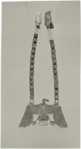 image of photographic print of vulture pectoral in object card