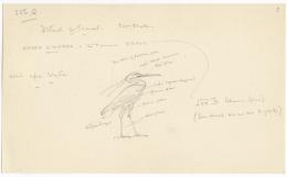 image of drawing in object card