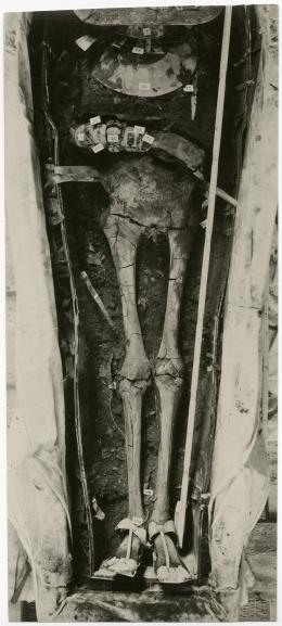 image of photographic print of lower part of king's unwrapped body within coffin in object card