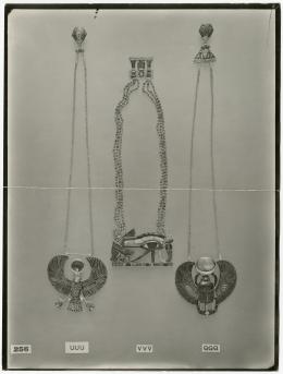 image of photographic print of pectorals in object card