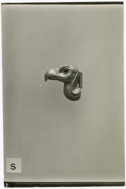 image of photographic print of vulture head from diadem in object card