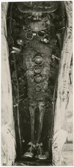 image of photographic print of king's mummy within coffin in object card