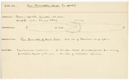 image of object card