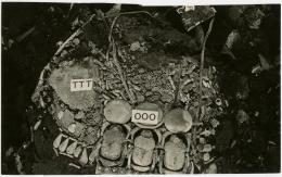 image of photographic print of king's mummy within coffin in object card