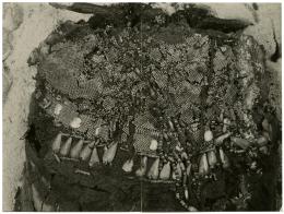 image of photographic print of torso of king's unwrapped body in object card