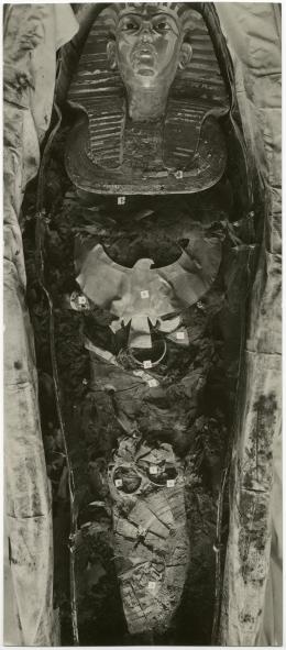image of photographic print of king's mummy within coffin in object card