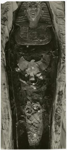 image of photographic print of king's mummy within coffin in object card