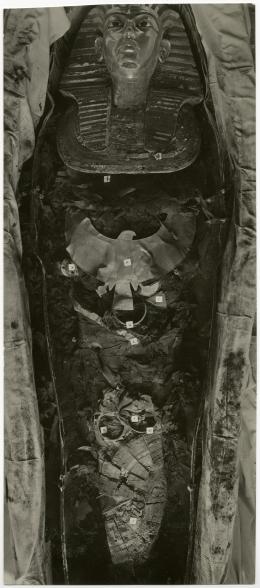 image of photographic print of king's mummy within coffin in object card