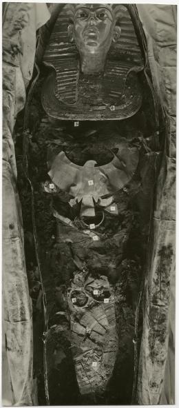 image of photographic print of king's mummy within coffin in object card