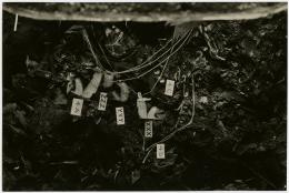 image of photographic print of torso of king's mummy within coffin in object card