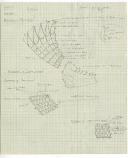 image of drawing in object card